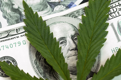 cannabis investment due diligence