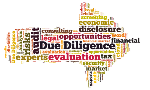 Word cloud for due diligence