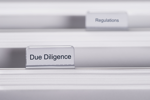 due diligence files